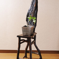 流木の椅子風飾り台101009 3枚目の画像