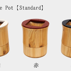 室内用木製プランター【Te Pot Standard】 3枚目の画像