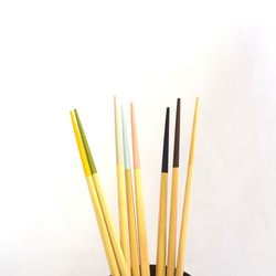 伴隨著馬格瓦帕！ Noto Hiba 各種筷子&amp;筷子包套裝【我的筷子套裝】【12色可選】 第8張的照片