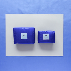 （ブルー）サッとまとまり使いやすい。　レジ袋型エコバック(Sサイズ) 1枚目の画像