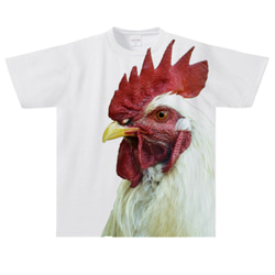 Tシャツ  鶏 2枚目の画像
