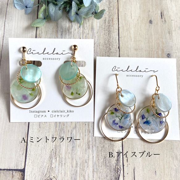 Herb&marbleフープピアス/イヤリング 3枚目の画像