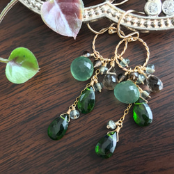 K14GF Chrome diopside and serpentine Earrings 第8張的照片