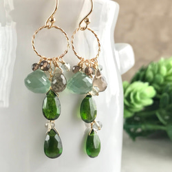 K14GF Chrome diopside and serpentine Earrings 第10張的照片