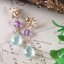 K14GF Starfish and Sea Blue Chalcedony Earrings 第8張的照片