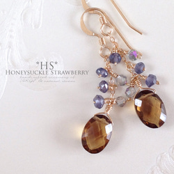 K14GF Beer Quartz Earrings 第1張的照片