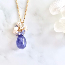 K14GF Large tanzanite necklace charm 第9張的照片