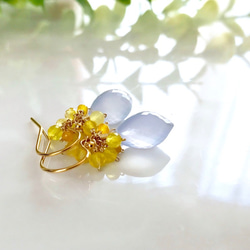 K14GF Blue Chalcedony and Yellow Opal Earrings 第3張的照片