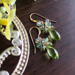 K14GF Peridot petit Earrings 第2張的照片