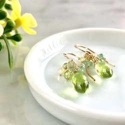 K14GF Peridot petit Earrings 第3張的照片