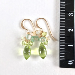 K14GF Peridot petit Earrings 第5張的照片