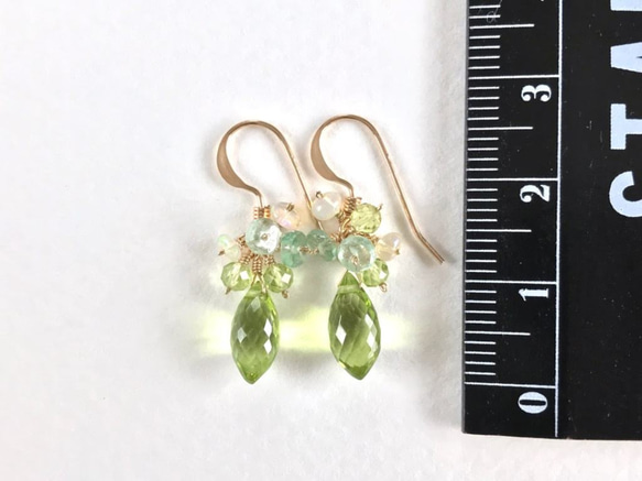 K14GF Peridot petit Earrings 第5張的照片