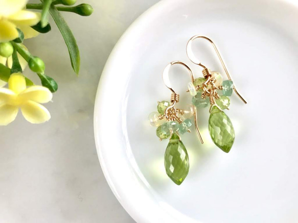 K14GF Peridot petit Earrings 第7張的照片