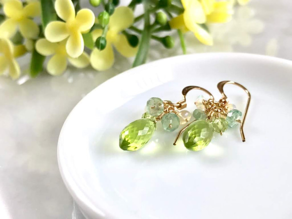 K14GF Peridot petit Earrings 第9張的照片