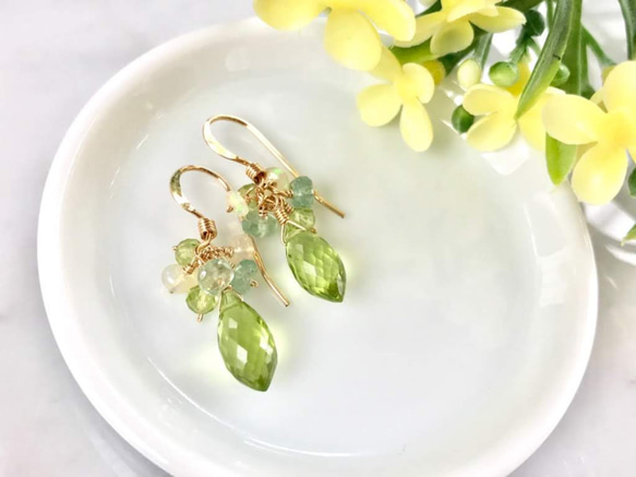 K14GF Peridot petit Earrings 第10張的照片