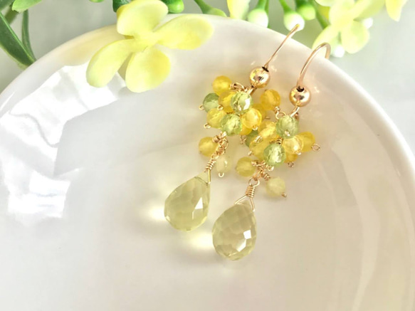 K14GF Lemon Quartz and Yellow Chalcedony Earrings 第1張的照片