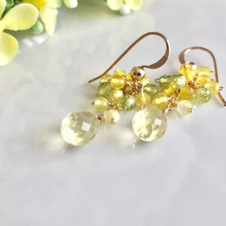 K14GF Lemon Quartz and Yellow Chalcedony Earrings 第9張的照片