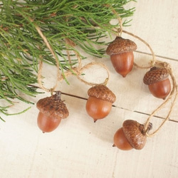 どんぐり おっきなオーナメント5つ ドライフラワー かを 通販