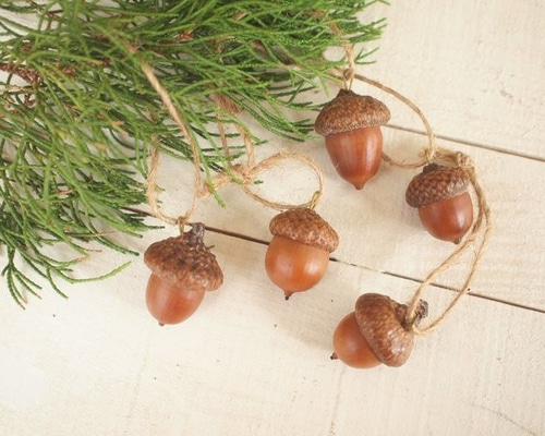 どんぐり 0_0ad264d48aec6dc91637f844e753