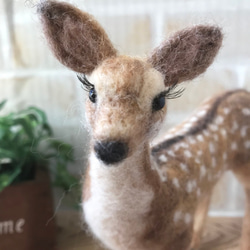 羊毛フェルト　鹿U 羊毛フェルト 鹿の頭部 壁掛け用 - メルカリ