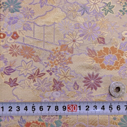 金絲帶霜A（紫色Neko）（6449  -  30 H 1） 第2張的照片