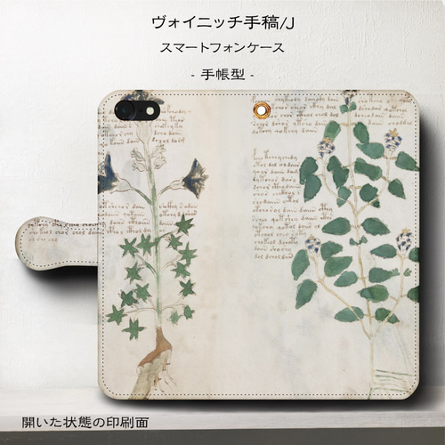 iPhone11/名作絵画『ヴォイニッチ手稿/デザインJ』スマホケース