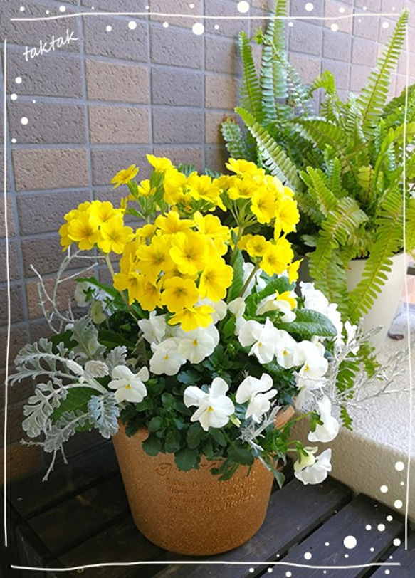 今が見ごろ☆季節の寄せ植え☆春のハッピーイエローコンテナ アート