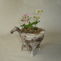植木鉢　ゾウ 6枚目の画像