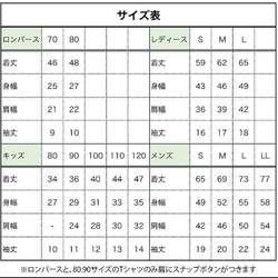  第2張的照片