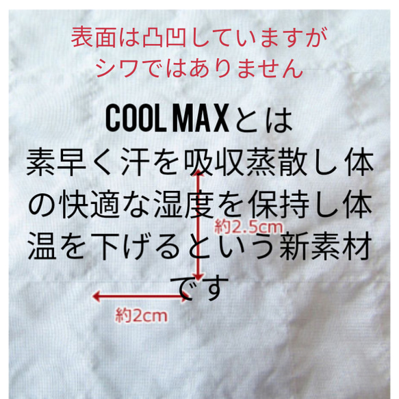 春マスク/グレンチェック＆スモーキーネイビー/ 新素材技術クールマックス生地使用 /大人用立体マスク/ 2色から選べます 6枚目の画像