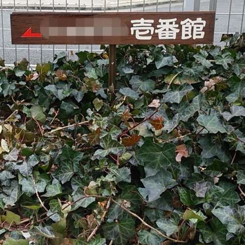 手書き木製看板 隷書限定 H90㎜ W600㎜以内（幅カットできます