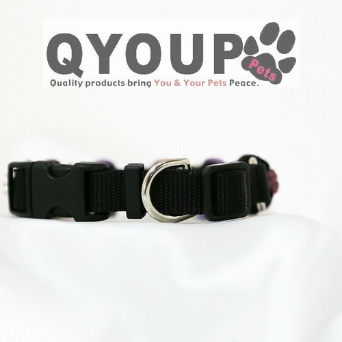 LA購入☆b.b.simon首輪☆小型犬