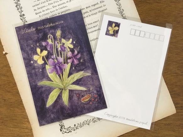 植物図鑑のポストカード　3種類セット 2枚目の画像