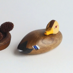 【ミニデコイ】マガモ メス （★台付き） mini decoy / wood animal 1枚目の画像