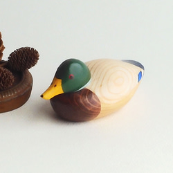 ミニデコイ マガモ オス(★台付き) mini decoy / wooden mallard duck 1枚目の画像