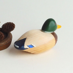 ミニデコイ マガモ オス(★台付き) mini decoy / wooden mallard duck 5枚目の画像