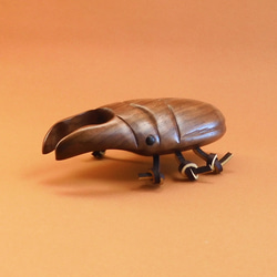 雄鹿甲蟲 第2張的照片