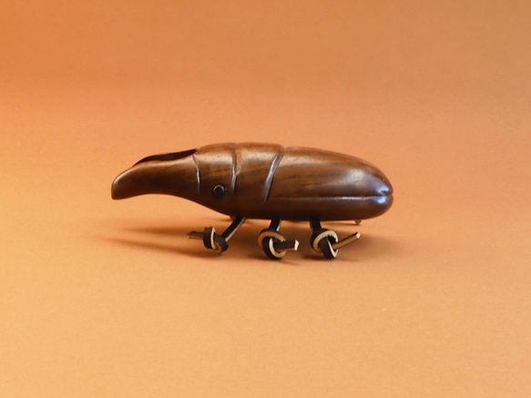 雄鹿甲蟲 第5張的照片