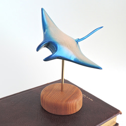 マンタ / wooden manta ray 1枚目の画像