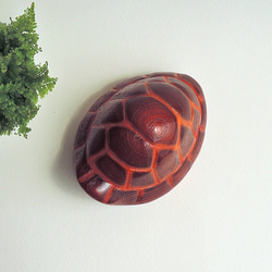 甲羅に引っ込んだカメ (★台付き)  tortoise / wood animal 10枚目の画像