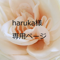 haruka様　専用ページ 4枚目の画像