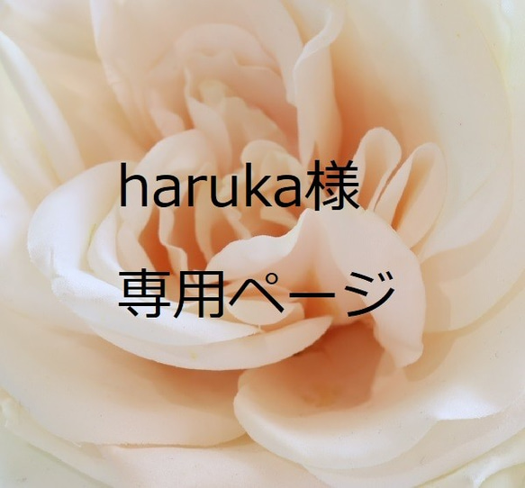 haruka様　専用ページ 4枚目の画像