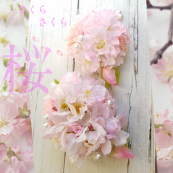 親子コサージュ２個セット　桜さくら　ソメイヨシノ　重ね付け　合格願掛け卒業式 1枚目の画像