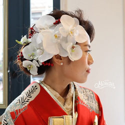 花飾り　成人式　前撮り 大輪胡蝶蘭 赤い実の髪飾り 成人式・七五三・和婚ブライダル 前