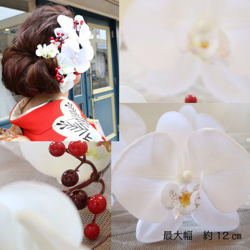 大輪胡蝶蘭 赤い実の髪飾り 成人式・七五三・和婚ブライダル 前撮り