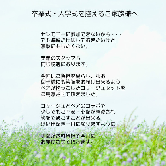 送料無料　ご卒業・ご入学の参加が未定・迷われているご家族様へ　コサージュ＆ベアの贈り物 9枚目の画像