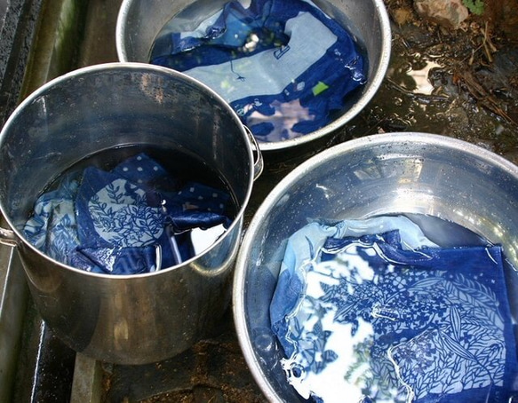藍染　がま口　「水のいきもの」 4枚目の画像