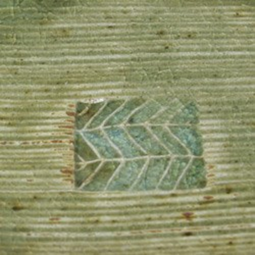 灰釉銘々皿】S45 盛り皿 取り皿 美味しい 人気 おしゃれ 素敵 かわいい