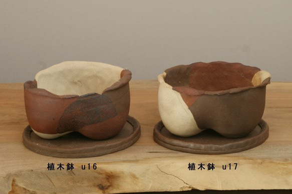 ３色焼〆植木鉢　u14・u15・u16・u17 3枚目の画像