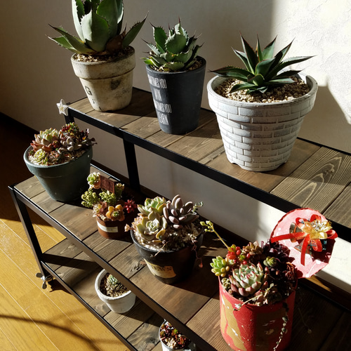 アイアン家具 オーダーメイド 棚・シェルフ・ラック nsoworks 通販